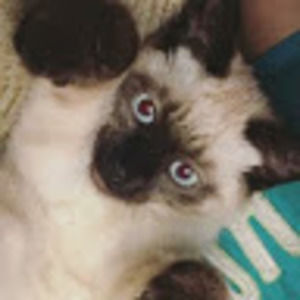 Meet your Posher, Jazmin